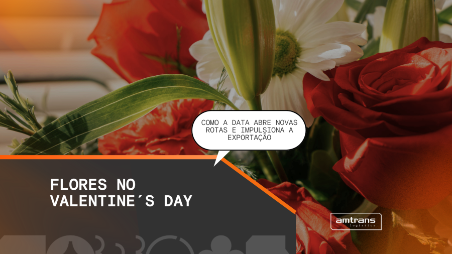 Flores no Valentine’s Day: como a data abre novas rotas e impulsiona a exportação