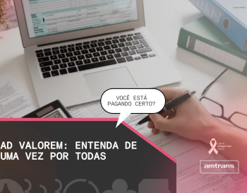 Tudo o que você precisa saber sobre o Ad Valorem
