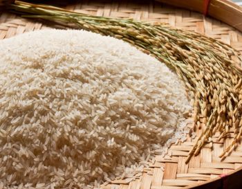 Exportação de arroz: descubra o que esperar desse mercado em 2024