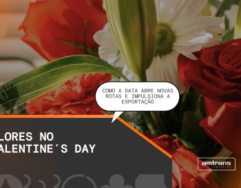 Flores no Valentine’s Day: como a data abre novas rotas e impulsiona a exportação