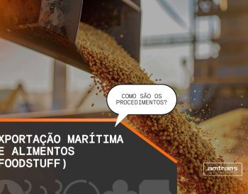Exportação Marítima de alimentos (Foodstuff): como funciona?